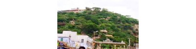 பழனி