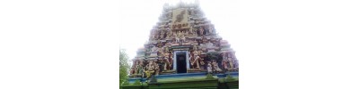 பழமுதிர்சோலை