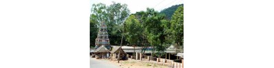 பழமுதிர்சோலை