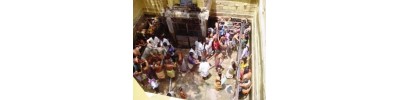 பழமுதிர்சோலை