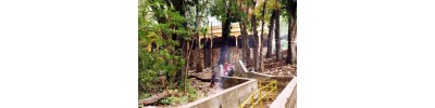 பழமுதிர்சோலை