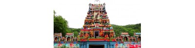 பழமுதிர்சோலை