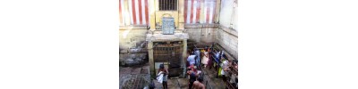 பழமுதிர்சோலை