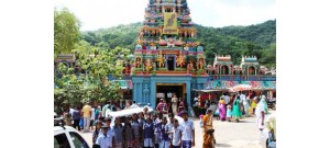 பழமுதிர்சோலை