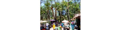 பழமுதிர்சோலை