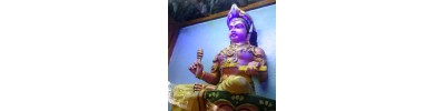 காஞ்சிபுரம்
