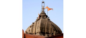 2. வைத்தியநாதம்