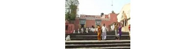 2. வைத்தியநாதம்