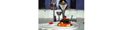 2. வைத்தியநாதம்