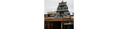 ஸ்ரீஅருணகிரிநாதர்