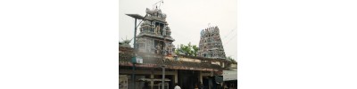 ஸ்ரீஅருணகிரிநாதர்