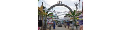 ஸ்ரீகிருபானந்தவாரியார்