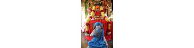 ஸ்ரீநித்யானந்த சுவாமி - தமிழ்நாடு