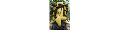 ஸ்ரீநித்யானந்த சுவாமி - தமிழ்நாடு