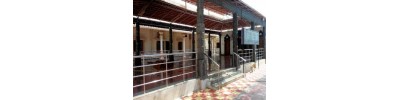 ஸ்ரீராகவேந்திரர் - மந்த்ராலயம் - ஆந்திரபிரதேசம்