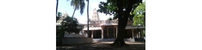 ஸ்ரீரமணமஹரிஷி - திருவண்ணாமலை - தமிழ்நாடு