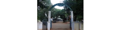 ஸ்ரீரமணமஹரிஷி - திருவண்ணாமலை - தமிழ்நாடு