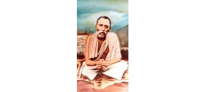 ஸ்ரீசேஷாத்ரி மஹரிஷி - தமிழ்நாடு