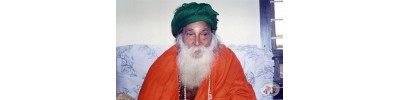 ஸ்ரீராம்சுரத்குமார் - திருவண்ணாமலை - தமிழ்நாடு