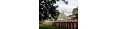 தென்திருப்பேரை