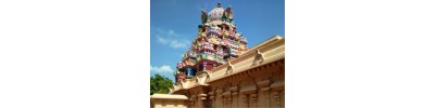 தென்திருப்பேரை