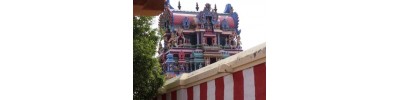 தென்திருப்பேரை