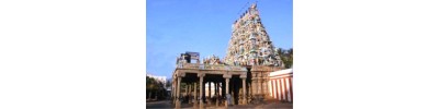 ஸ்ரீ வைகுண்டம்