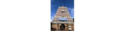 சதுர்த்தரங்கம் - கும்பகோணம்