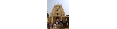 அப்பாலரங்கம் - திருப்பேர்நகர்