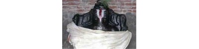 அப்பாலரங்கம் - திருப்பேர்நகர்