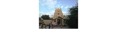 அப்பாலரங்கம் - திருப்பேர்நகர்