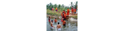மேலாங்கோடு