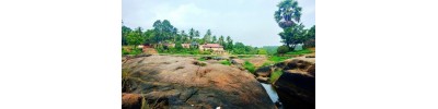 திற்பரப்பு