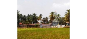 திருவிடைக்கோடு