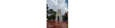 திருவிதாங்கோடு