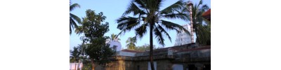 திருவிதாங்கோடு