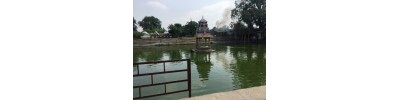 திருமுஷ்ணம் (ஸ்ரீமுஷ்ணம்)