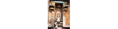 திருமுஷ்ணம் (ஸ்ரீமுஷ்ணம்)