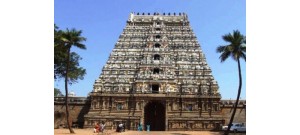 திருமுஷ்ணம் (ஸ்ரீமுஷ்ணம்)