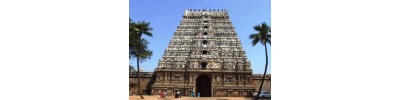 திருமுஷ்ணம் (ஸ்ரீமுஷ்ணம்)