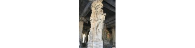திருமுஷ்ணம் (ஸ்ரீமுஷ்ணம்)