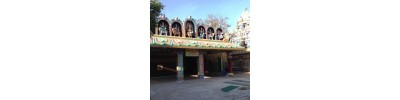 திருமுஷ்ணம் (ஸ்ரீமுஷ்ணம்)