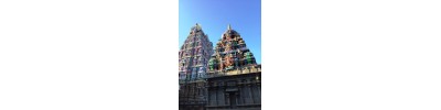 திருமுஷ்ணம் (ஸ்ரீமுஷ்ணம்)