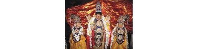 திருமுஷ்ணம் (ஸ்ரீமுஷ்ணம்)