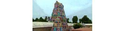 திருமுஷ்ணம் (ஸ்ரீமுஷ்ணம்)