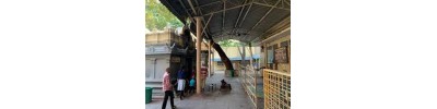 திருவேங்கடம் (திருப்பதி)