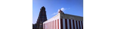 வானமாமலை (நாங்குநேரி)