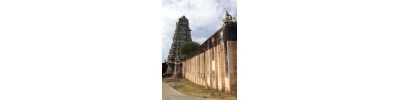 வானமாமலை (நாங்குநேரி)