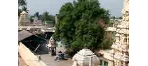 238. திருக்கச்சிமேற்றளி